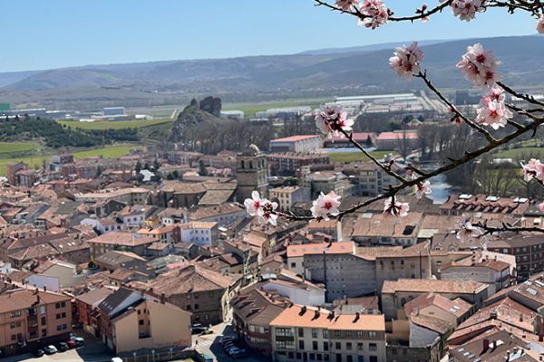 castillo-aguilar-de-campoo-aguilardecampooturismo.com-3