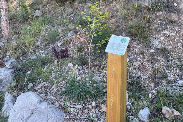 jardin-botanico-aguilar-de-campoo-aguilardecampooturismo-1