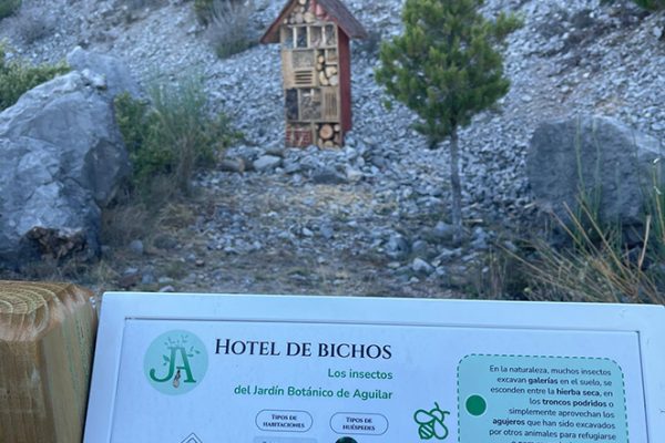 jardin-botanico-aguilar-de-campoo-aguilardecampooturismo-11