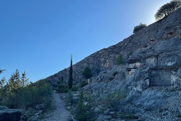 jardin-botanico-aguilar-de-campoo-aguilardecampooturismo-12
