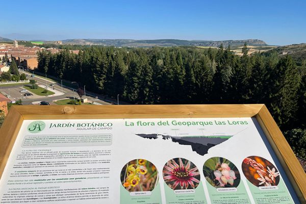 jardin-botanico-aguilar-de-campoo-aguilardecampooturismo-14