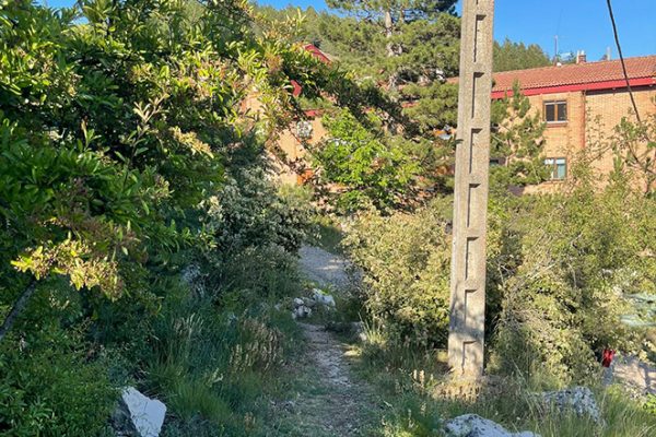 jardin-botanico-aguilar-de-campoo-aguilardecampooturismo-2