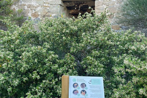 jardin-botanico-aguilar-de-campoo-aguilardecampooturismo-3