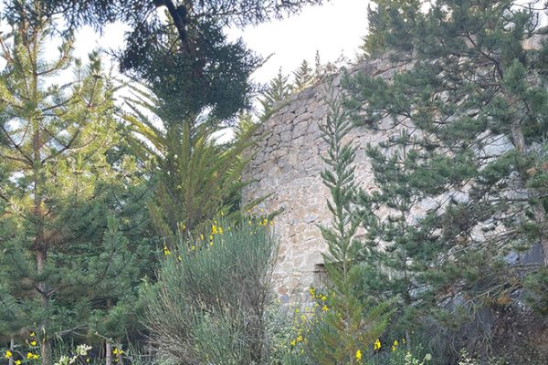 jardin-botanico-aguilar-de-campoo-aguilardecampooturismo-4