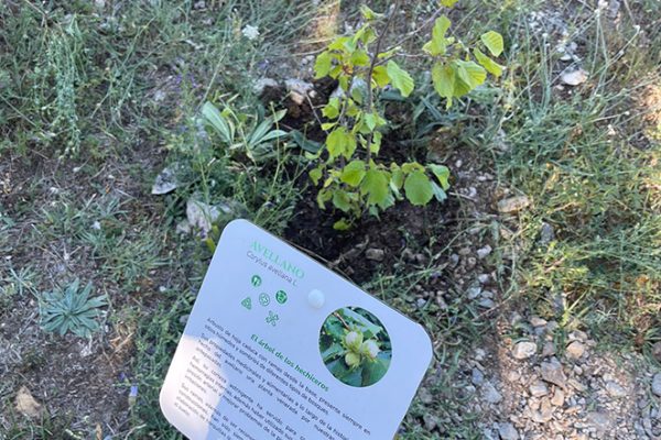jardin-botanico-aguilar-de-campoo-aguilardecampooturismo-5