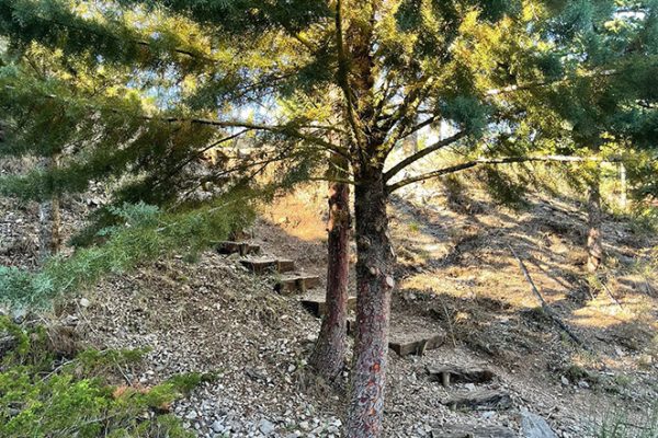 jardin-botanico-aguilar-de-campoo-aguilardecampooturismo-6