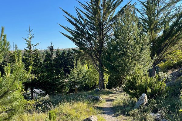 jardin-botanico-aguilar-de-campoo-aguilardecampooturismo-7