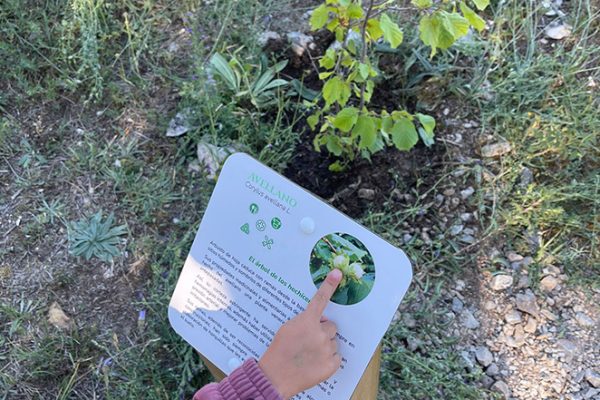 jardin-botanico-aguilar-de-campoo-aguilardecampooturismo-8