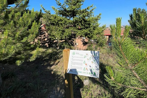 jardin-botanico-aguilar-de-campoo-aguilardecampooturismo-9