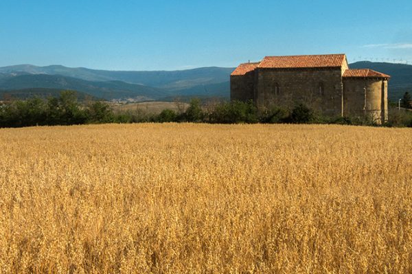 ruta-pedaleando-el-romanico-2