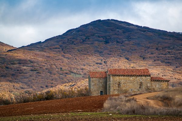Iglesia de San Martín Obispo