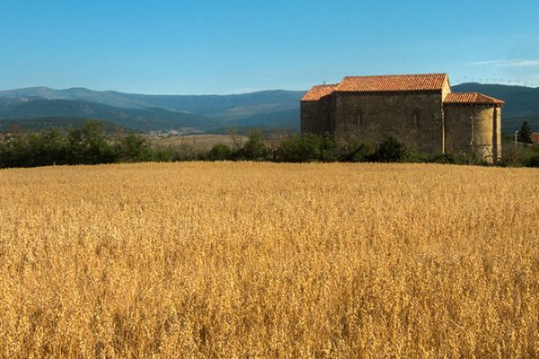 Iglesia de San Martín Obispo